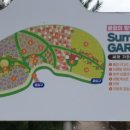 도미노피자 건너 주차장 이미지