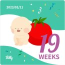 거제중앙로10길 | 19주 임신기록 / 복덩이와 함께한 부산에서 가족 지인 모임