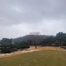 발리오스CC 라운딩 후기 + 맛집 추천 오서방닭개장 화성점