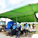 그늘막35 이미지