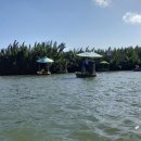 코코넛19 이미지