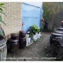 산속의 아침 이미지