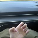 상기목장 | [W11-3] 제주 셀프 웨딩 스냅 장소 및 포즈 추천 / 꿀팁 공유 2편