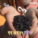 석진식당 이미지