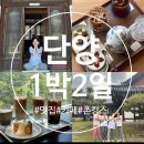 단촌정기시장 | 단양)으라차차 단양 힐링 여행 Feat, 촌캉스