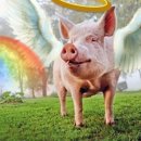 에스더공인중개사사무소 이미지