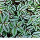 자연생태공원 부천식물원 이미지