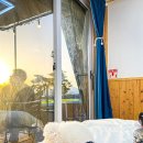 코지네이쳐 이미지