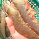 수산2농장 이미지