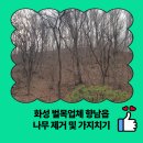 향남제약공단급수시설 | 화성 벌목업체 향남읍 나무 제거 및 가지치기