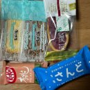 나영목장 | 너무 빠르게 지나간 8월 일상 모음