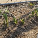 부목농장 이미지