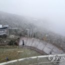 첫눈에평창 이미지