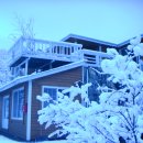 새이모퉁이 이미지