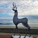 솔밭공원1 이미지