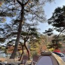 지리산반내골오토캠핑장 | 전남 | 구례 지리산 반내골 오토캠핑장 후기 (편의시설, 데크 사진有)