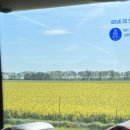 품바이걸 | Bretagne, 내가 언제 또 요트를 타 보겠어,,