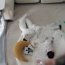 맘스클리익