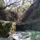 신원면 과정리 이미지