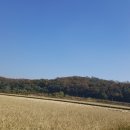 새누리농장 이미지