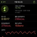 크로스핏 레오 이미지