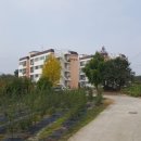 진천양우공인중개사사무소 이미지