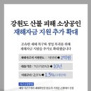 중소기업 정책뉴스 // 중소벤처기업부, 강원도 산불 피해 소상공인 지원 확대 이미지