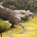 신안관광개발㈜ 이미지