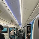 쏙하노이 | 김해 출발 나트랑행! 베트남항공 하노이 경유 후기 (기내식 &amp; 환승 꿀팁)