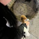 세븐일레븐 인천인하점 | [2025.02] 28일의 한 달 일상 | 아아..ㅎ 죽지 않고 또 왔네