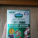 바이탈나우