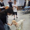 전주효정중학교 이미지