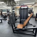 타이거휘트니스 이미지
