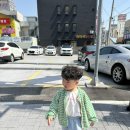 이화돌산갓김치 | [여수 게장 맛집 추천] 청정게장촌 솔직 후기｜돌게장은 실망, 갈치조림은 재방문각! 🦀🍚