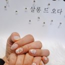 살롱드오다