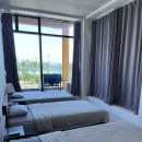 펜톤나인 이미지