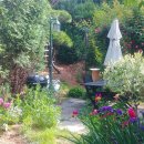 비밀의정원 이미지