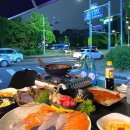 월평역 | 대전 야장 횟집 월평역 맛집 인어공주와연일왕자 내돈내산 후기