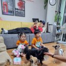 끝집산장 이미지