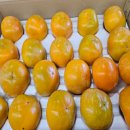 창원농장 이미지