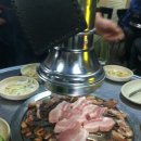 분홍돼지 이미지