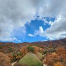 - 10월말, 둘이서 천천히 거닐은 운두령 아래 홍천 자운리 임도 산책 그림들! 이미지