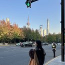 동방위생공사 | [상해여행] 1일차: 동방명주 포토존-미니소 쇼핑-지엔빙-북경오리-와이탄 야경 (고덕지도 O)
