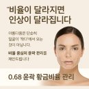 미(美)순환피부