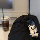 모가우체국 | 도파민에 절여진 3월