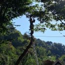 원곡면 게이트볼장 이미지