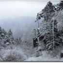 천왕봉가는길에 이미지