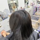 남우디자인 | 그로잉살롱 본점 남우쌤 단발머리 커트 애쉬브라운 염색 후기