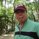 예술관길 이미지