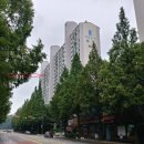 미래팜서울약국 이미지